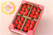 �Q�n���Y�������S�i��A�\�[�g�Z�b�g�i280g×4P�j�i�������t�@�[���j