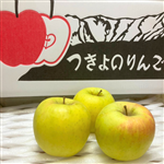 �y����P�T���z����ܖ����@�T����