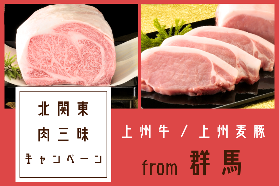 上州牛・上州麦豚 群馬の肉三昧セット【北関東3県ショップ共同企画
