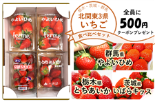 【限定４０セット】群馬・栃木・茨城　いちご食べくらべセット