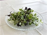 �}�C�N�����[�tmix�@200g