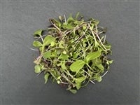 �}�C�N�����[�tmix�@200g