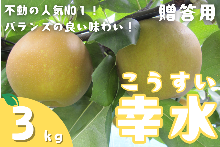 Qna̗@K@pRs