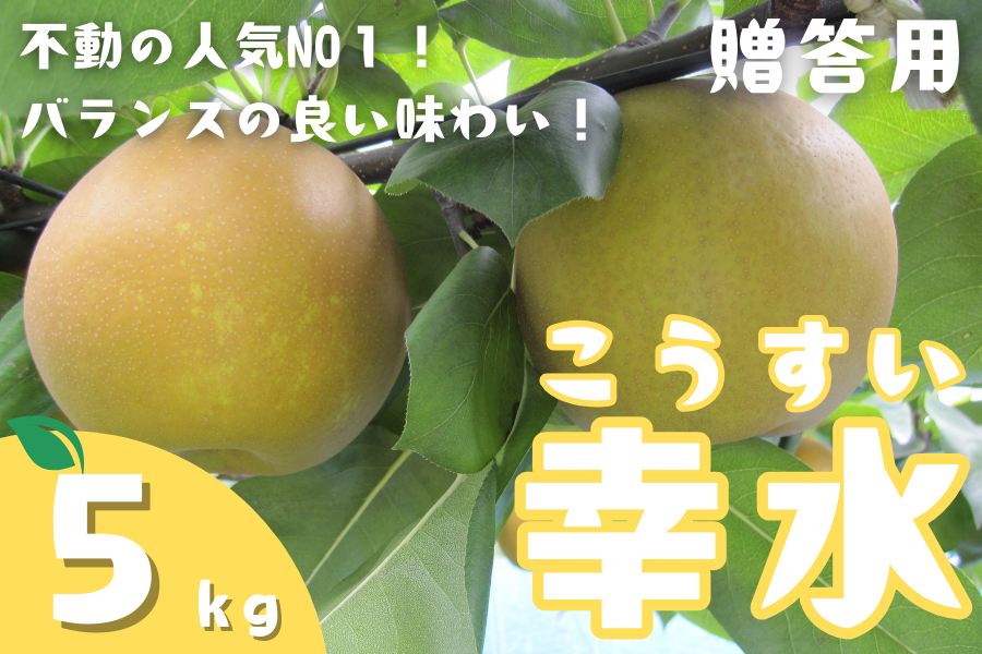 Qna̗@K@pTs