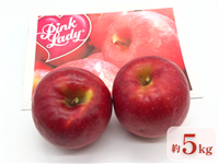 �s���N���f�B�[�i�Q�n���Y��񂲁j�@��T����