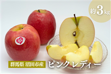 �Q�n���Y�s���N���f�B�[�@��R����