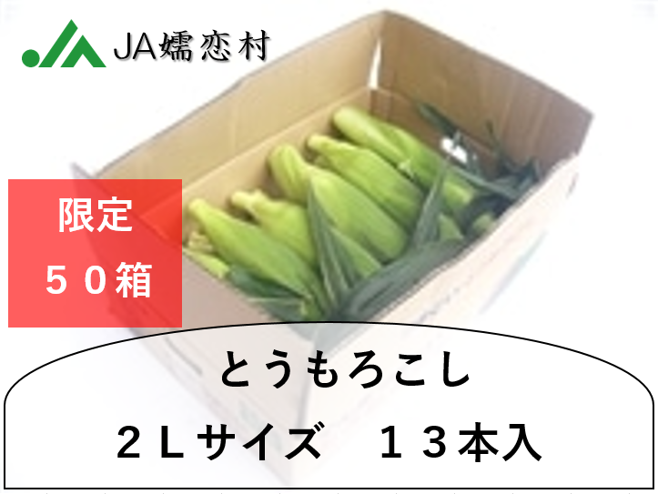 【限定５０箱】とうもろこし２Lサイズ１３本入(ＪＡ嬬恋村)