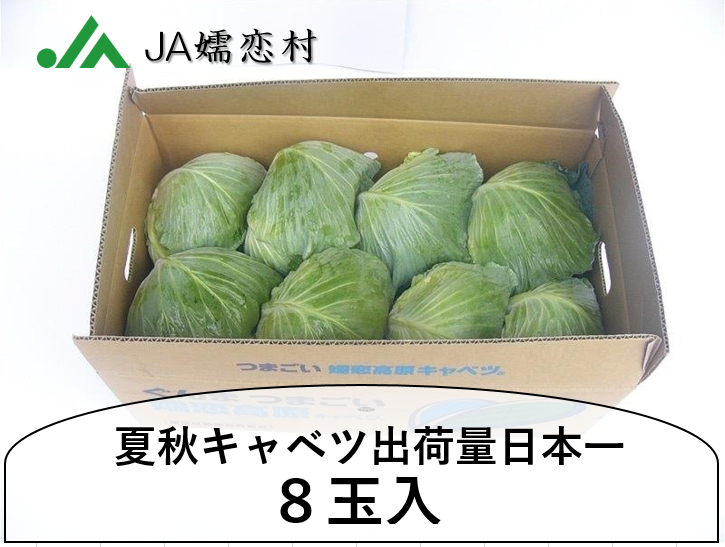 LxcWʓii`ڗj