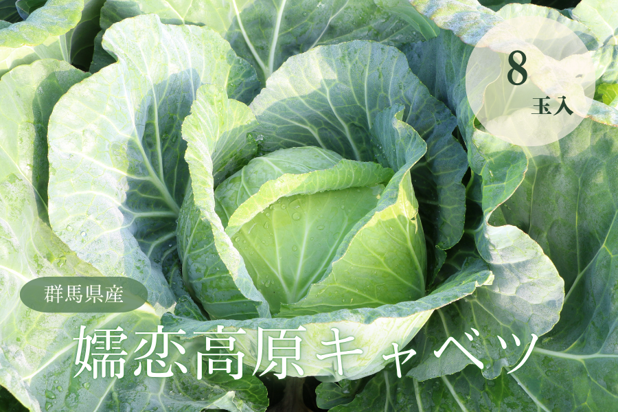 LxcWʓii`ڗj