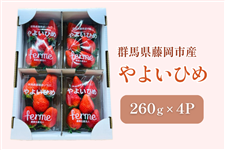 �i260g×4P�j�Q�n���Y�������u��悢�Ђ߁v�y�M�t�g260130�z