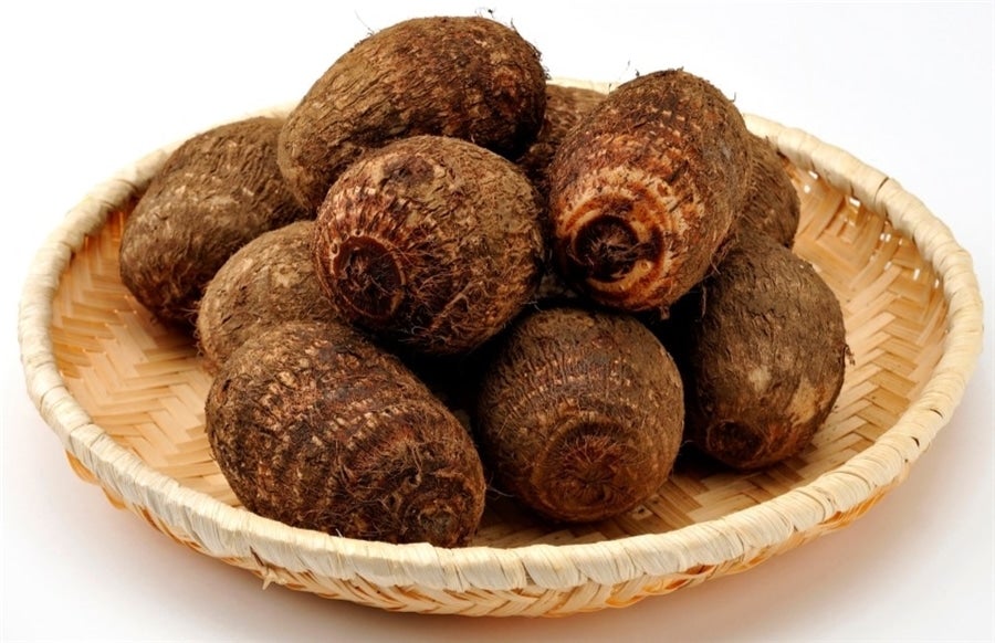 イメージ写真です