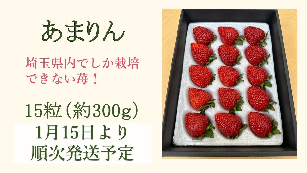 ホットオンライン 専用ページ あまりん 15粒入り 10パック - 食品