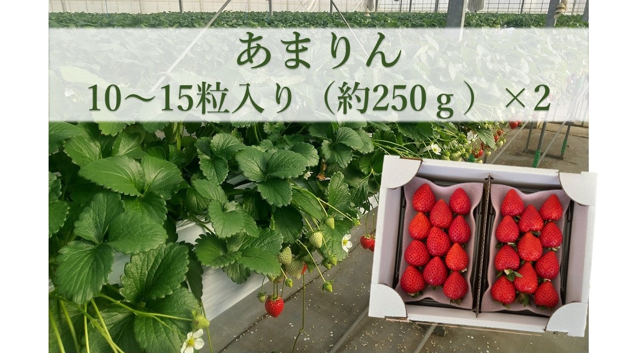 埼玉事始: さいたまいちばんものがたり | 東京新聞浦和支局 |本