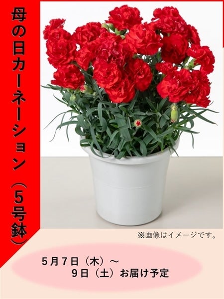 画像はイメージです。