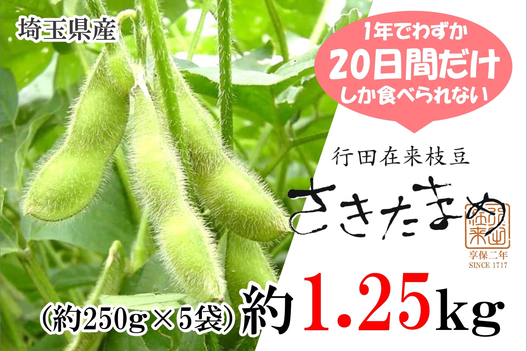 ǂu܂߁iscݗ܂߁jv1.25i250×T܁j@10U蔭\