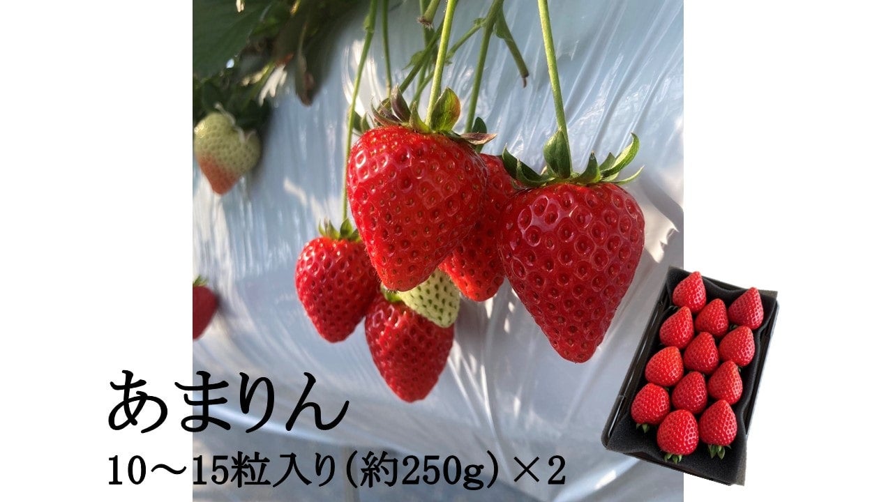 ʌYu܂iʁjv