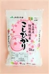 埼玉県産特別栽培米こしひかり(令和４年産)