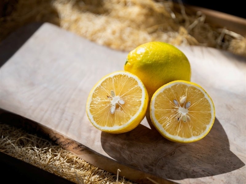 【鵜殿シトラスファーム】レモン(マイヤーレモン)1.8kg(15玉前後)