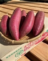 ■ふくむらさき■千葉県産■Lサイズ■約5キロ■JAかとり■ 楽天市場】【送料無料】千葉県産（JAかとり）さつまいも 千葉