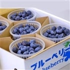 gnh݂̃u[x[ (100g×10pbN)