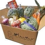 【定期購入】食育ソムリエが選ぶ旬の野菜ボックス！(野菜８種以上、加工品1品)
