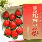 【バレンタイン】 “完熟”松戸の苺 やよいひめ [大粒 １箱] 酸味を抑えたすっきりとした甘み！