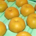 ܂̗uVv5ʁ`6(3kg)