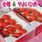 �g���n�h ���˂�� ������E��悢�Ђ߁� �Q�i��H�ה�׃Z�b�g�I