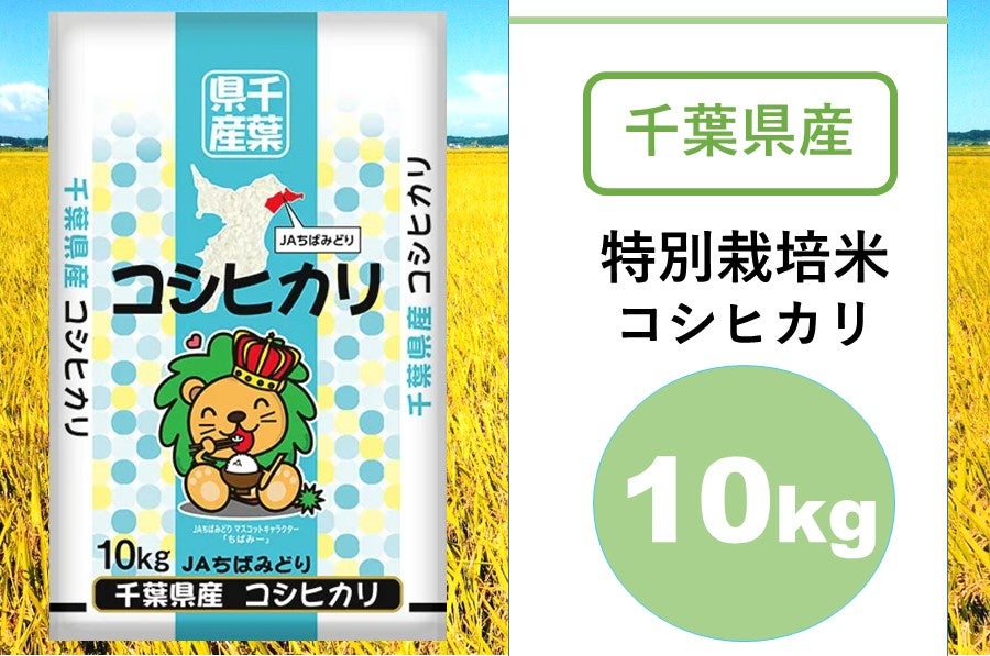 ＪＡちばみどり 令和3年産特別栽培米コシヒカリ（10kg）
