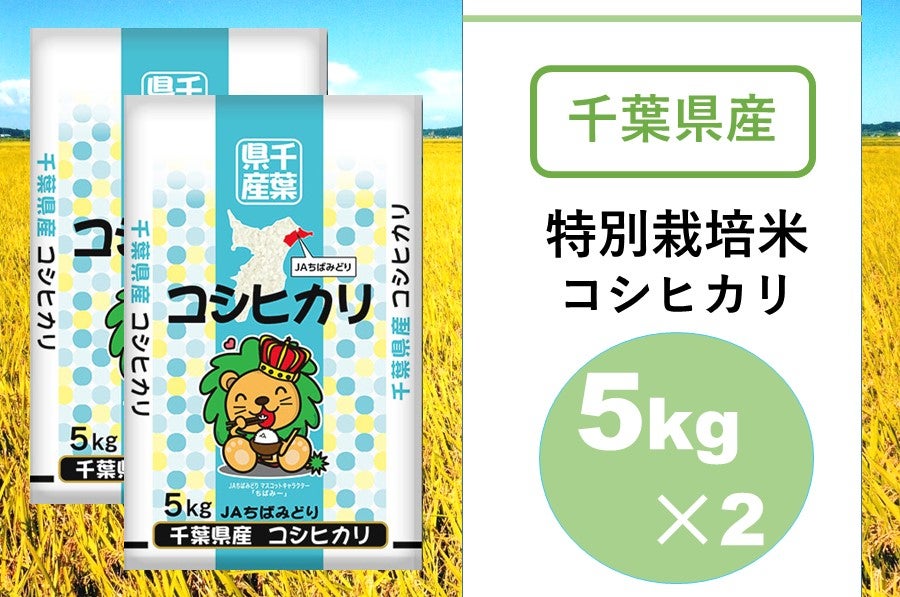 ＪＡちばみどり|【ＪＡタウン】産地直送　ＪＡちばみどり　お取り寄せ　令和5年産特別栽培米コシヒカリ（5kｇ×2）:　通販