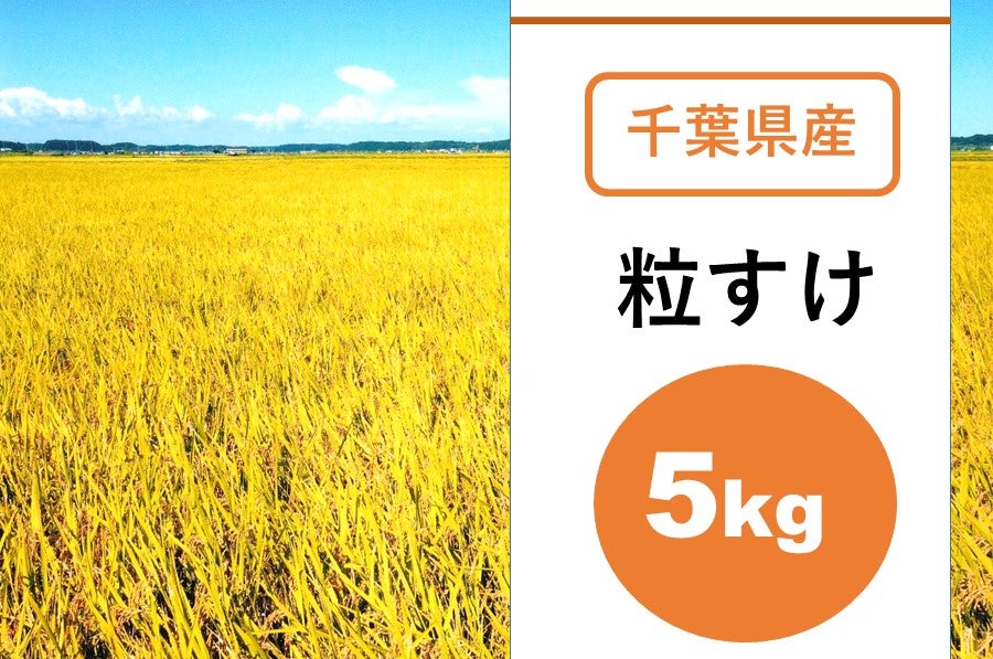 ＪＡちばみどり 令和5年産粒すけ（5kg）: ＪＡちばみどり|【ＪＡタウン