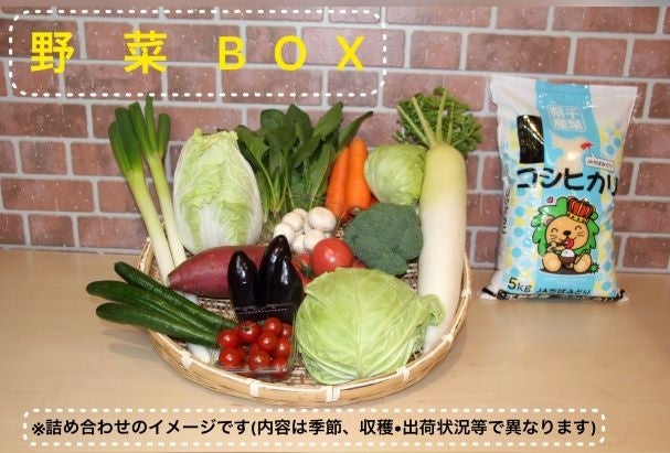 みどりの大地の新鮮☆野菜BOX・精米セット☆