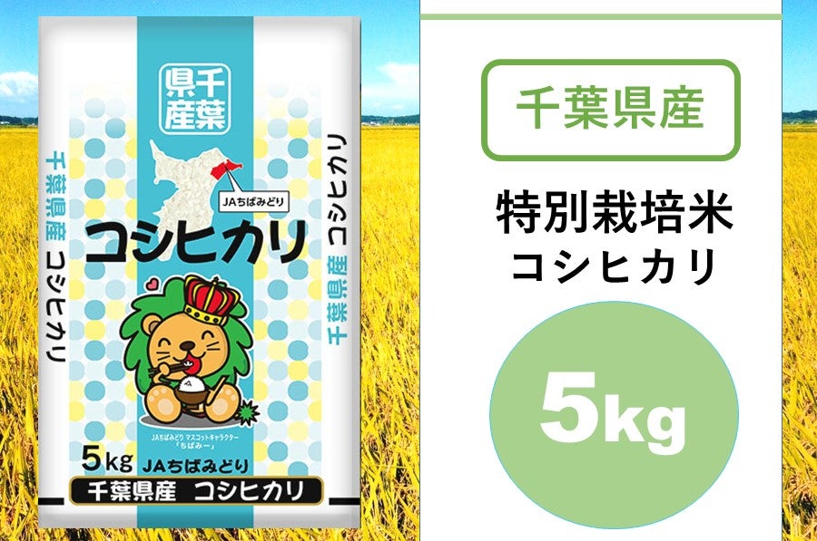  ＪＡちばみどり 令和4年産特別栽培米コシヒカリ（5kg）
