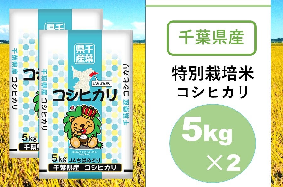  ＪＡちばみどり 令和3年産特別栽培米コシヒカリ（5kｇ×2）