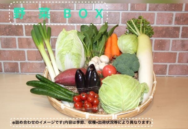 みどりの大地の新鮮☆野菜BOX☆
