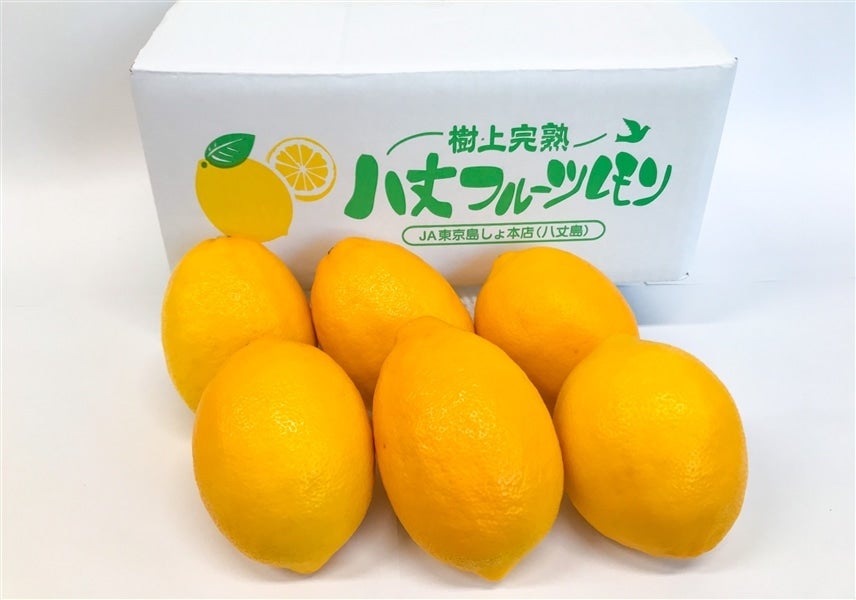 【贈答箱】八丈フルーツレモン　約2kg　秀品Ｓサイズ