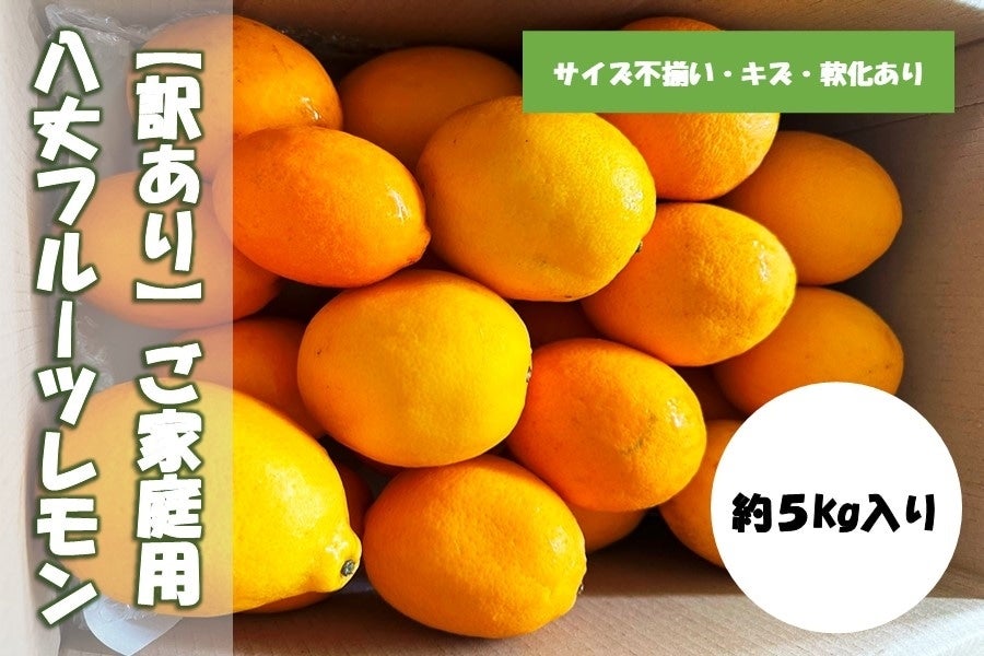 今季販売終了】【訳あり品5kg】ご家庭用八丈フルーツレモン