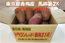JA@hSbhn鏒@QL