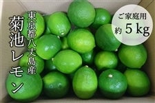 【今季販売終了】【ご家庭用】　東京都八丈島産　菊池レモン ５ｋｇ　多少キズあり