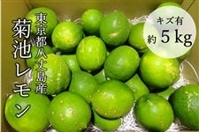 yG̔IzyAELYLz@s䓇Y@er T