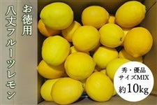 【お徳用】八丈フルーツレモン　約10kg　秀優品　S・Mサイズ混合