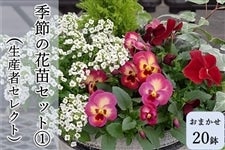 yG̔IzsY@G߂̉ԕcZbg@@Y҃ZNg