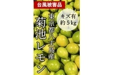 y䓇䕗Q@HׂĉIIzBi iTCYwsjer s䓇Y