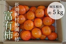 長渕野村柿園の柿　富有柿５�s M玉相当