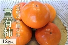 長渕野村柿園の柿　富有柿　１２個入