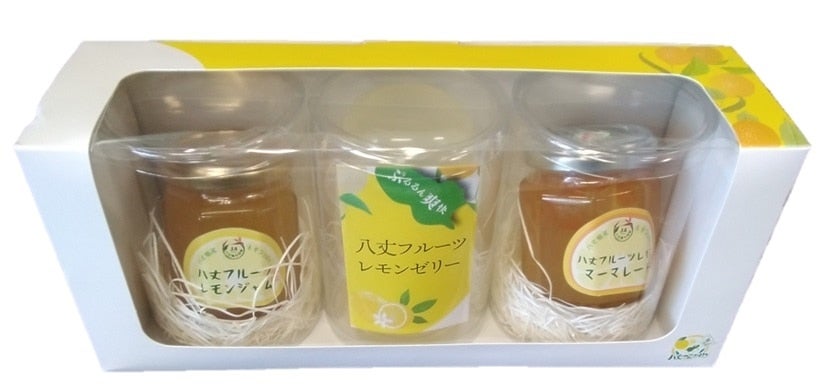 お中元にも】八丈フルーツレモンギフトセット （マーマレード）: JA