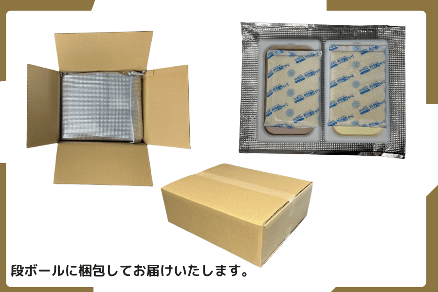 送料0） 2L-VC 業務用アイス（バニラ・チョコ 各1本）: 酪市酪座
