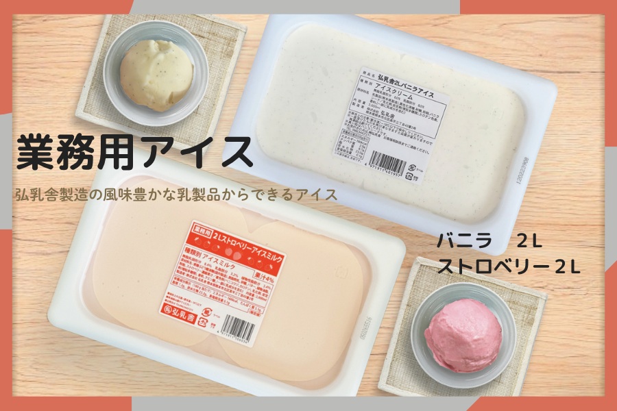 送料0） 2L-SV 業務用アイス（ストロベリー・バニラ 各1本）: 酪市酪座
