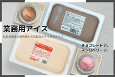送料0） 2L-CS 業務用アイス（チョコ・ストロベリー 各1本）: 酪市酪座