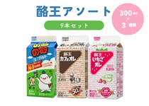 �����A�\�[�g300ml�@9�{�Z�b�g